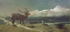 チャレンジ 作： Edwin Landseer